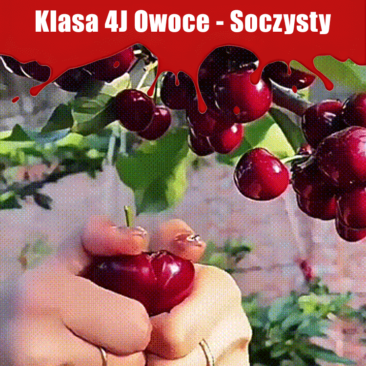 Importált chilei cseresznyemag