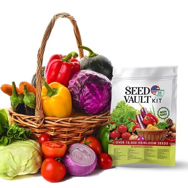 Növényi Seed Vault Kit | 35 Változatos csomag